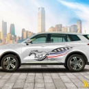 Tem Xe Ford Territory - FTE003