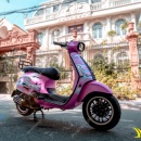 Tem Xe Vespa Sprint - VSP016