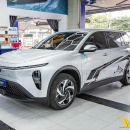 Tem Xe Vinfast Limo Green - VLI003