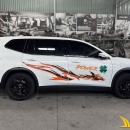 Tem Xe Vinfast Limo Green - VLI006