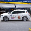 Tem Xe Mazda CX5 - MC5035