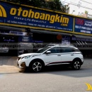 Tem Xe Peugeot 3008 - P38023