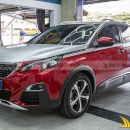 Tem Xe Peugeot 3008 - P38028
