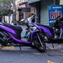 Tem 5xe Vision Matte Royal Purple (Tím mờ) - VIS005